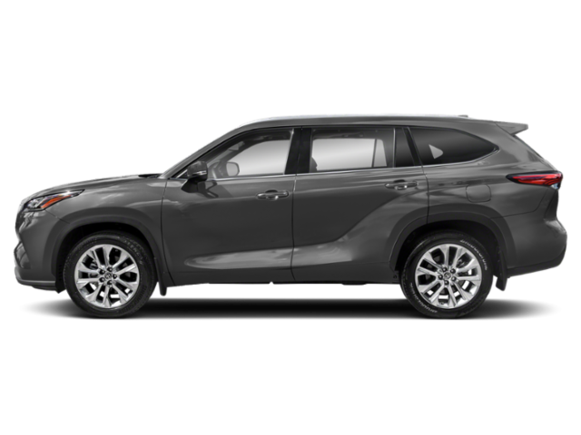 Gray Highlander