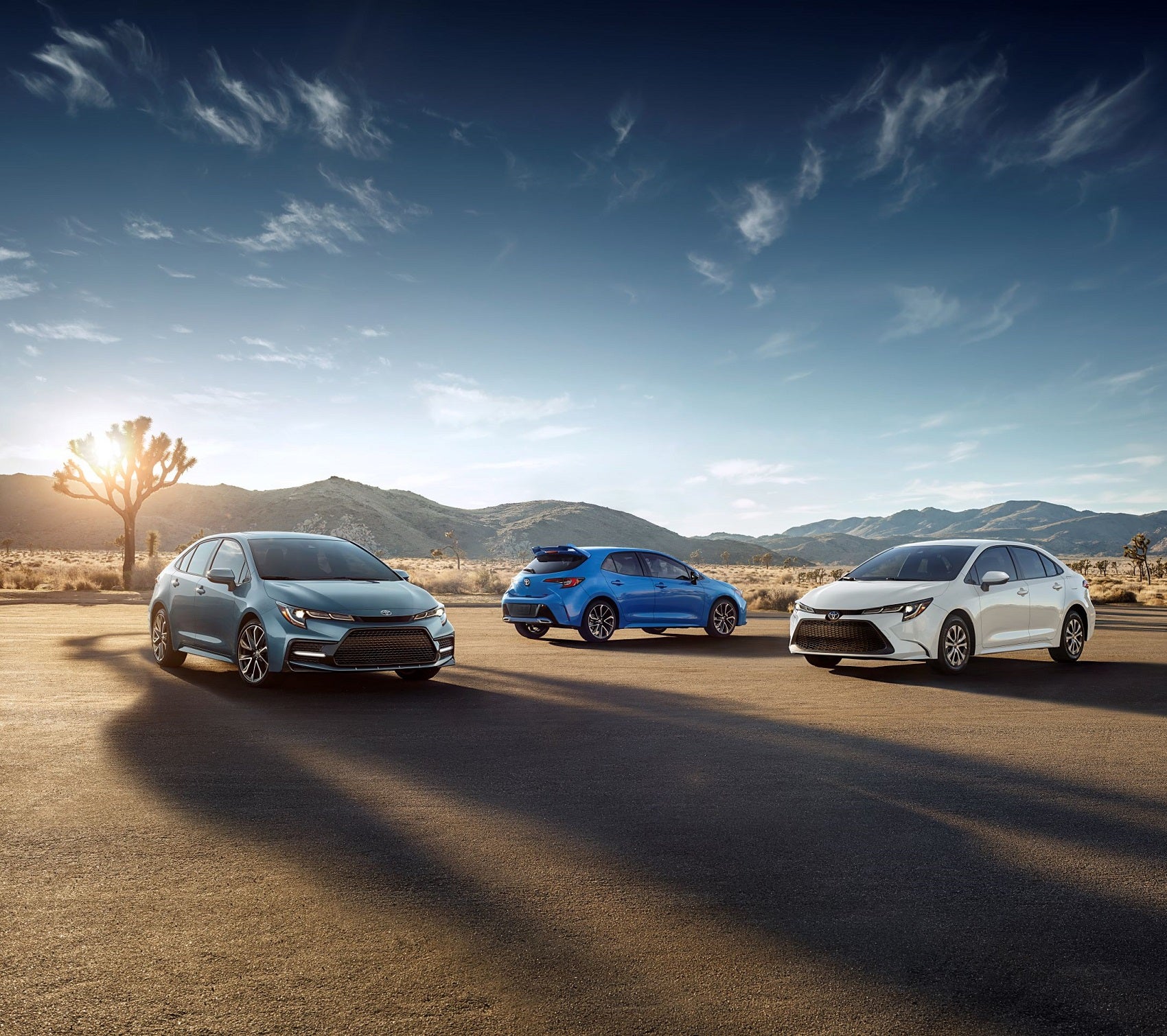 Lineup of Toyota Models