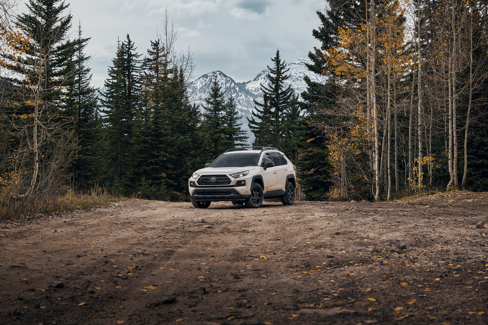 Used SUVs for Sale near Me